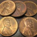 Image of LOT OF 5 DIFFERENT UNC RED/BN LINCOLN WHEAT CENTS